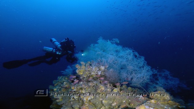 There was an amazing amount of life today on The San Marco wreck in Sardini - Rebreatherpro-Training