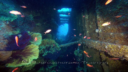 Exiting the wreck of the Loreden in Sardinia - Rebreatherpro-Training