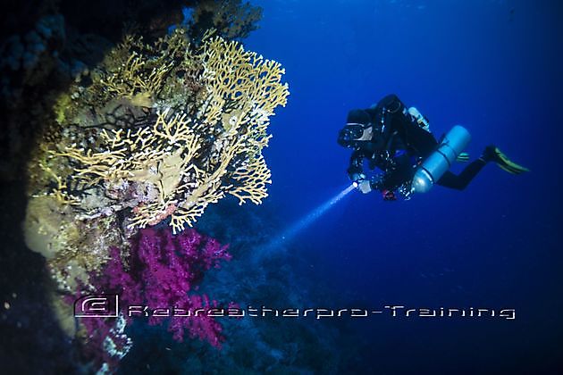 Rebreather Try Dive - Rebreatherpro-Training