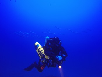 Hammerhead Rebreather diver Rebreatherpro-Training