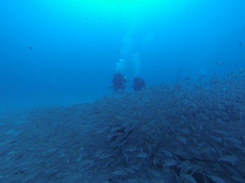 Twinset divers on The Bluebird Rebreatherpro-Training