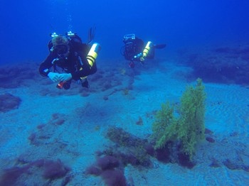 Twinset divers with Gorgonian fan coral Rebreatherpro-Training