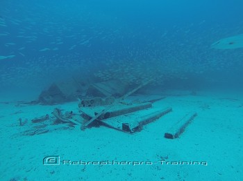 Amazing marine life for rebreather diving. Rebreatherpro-Training