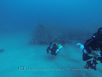 Look at the amount of fish around the Rebreather divers. Rebreatherpro-Training