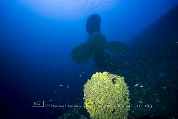 HMS Britannic Expedition Rebreatherpro-Training