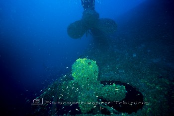 HMS Britannic Expedition Rebreatherpro-Training