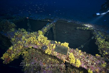 Brass plaque in memory of Jacques Cousteau, who explored the wreck in the 1970s Rebreatherpro-Training