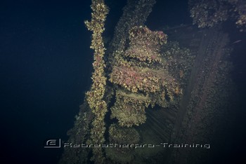 HMS Britannic is the wreck that was located and explored by Jacques-Yves Cousteau in 1975 Rebreatherpro-Training