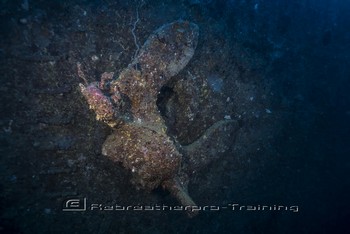 Iron Bottom Sound in Guadalcanal, The Solomons Rebreatherpro-Training