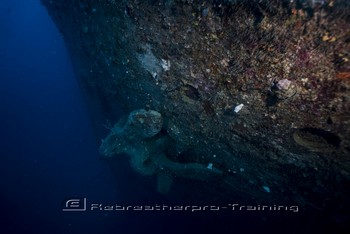 Iron Bottom Sound in Guadalcanal, The Solomons Rebreatherpro-Training