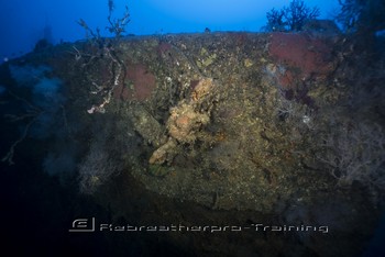 Iron Bottom Sound in Guadalcanal, The Solomons Rebreatherpro-Training