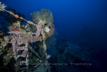 Iron Bottom Sound in Guadalcanal, The Solomons Rebreatherpro-Training