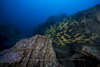 Iron Bottom Sound in Guadalcanal, The Solomons Rebreatherpro-Training