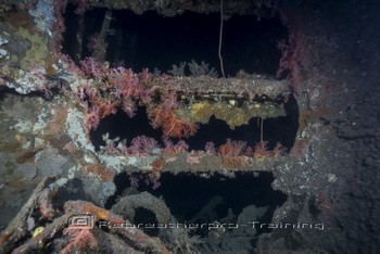 Iron Bottom Sound in Guadalcanal, The Solomons Rebreatherpro-Training