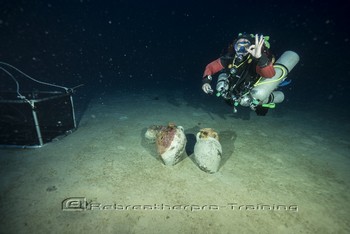 Phoenician Shipwreck Project in Gozo 2017 Rebreatherpro-Training