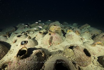 Phoenician Shipwreck Project in Gozo 2017 Rebreatherpro-Training