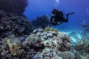 Red Sea Training and Liveaboard Trip Rebreatherpro-Training