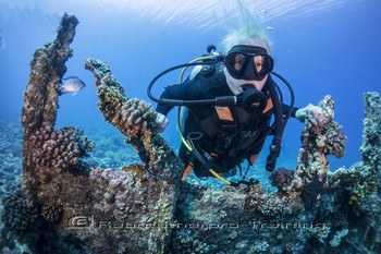 Red Sea Training and Liveaboard Trip Rebreatherpro-Training