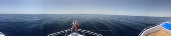 Red Sea Training and Liveaboard Trip Rebreatherpro-Training