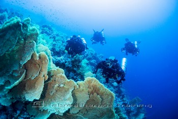 Red Sea Training and Diving Rebreatherpro-Training