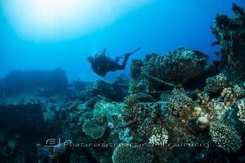 Red Sea Training and Diving Rebreatherpro-Training