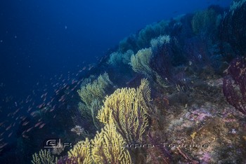Sardinia Wreck and Cave Diving Rebreatherpro-Training