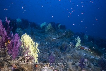 Sardinia Wreck and Cave Diving Rebreatherpro-Training