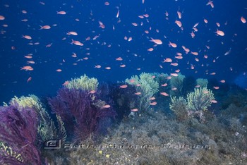 Sardinia Wreck and Cave Diving Rebreatherpro-Training