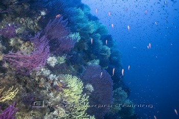 Sardinia Wreck and Cave Diving Rebreatherpro-Training