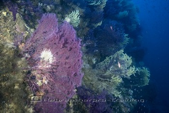 Sardinia Wreck and Cave Diving Rebreatherpro-Training