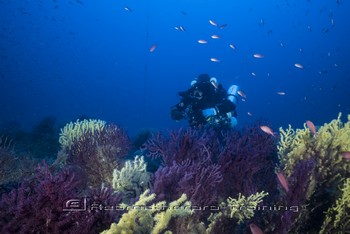 Sardinia Wreck and Cave Diving Rebreatherpro-Training