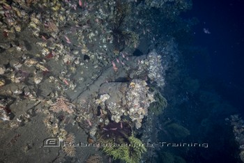 Phoenician Shipwreck Project in Gozo 2017 Rebreatherpro-Training