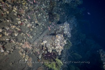 Sardinia Wreck and Cave Diving Rebreatherpro-Training