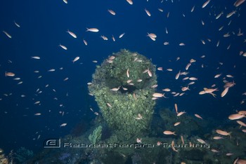 Sardinia Wreck and Cave Diving Rebreatherpro-Training