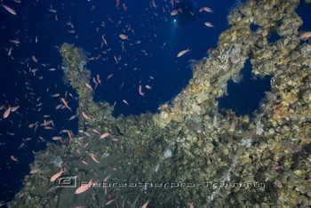 Sardinia Wreck and Cave Diving Rebreatherpro-Training